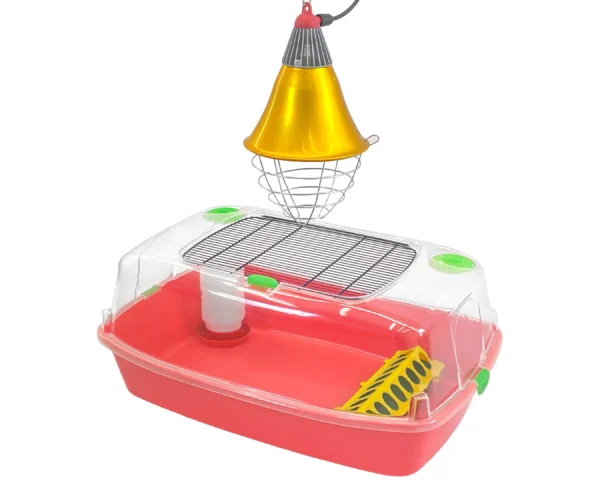 Kit Bac de démarrage pour poussins - le kit complet
