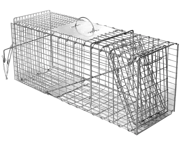 Piège à fouine